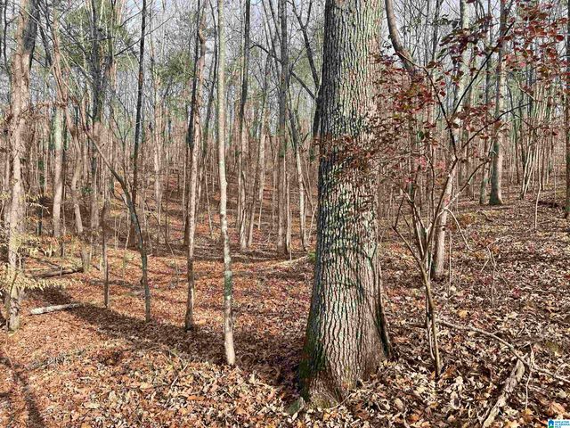 0 COUNTY ROAD 852, Heflin, AL 36264