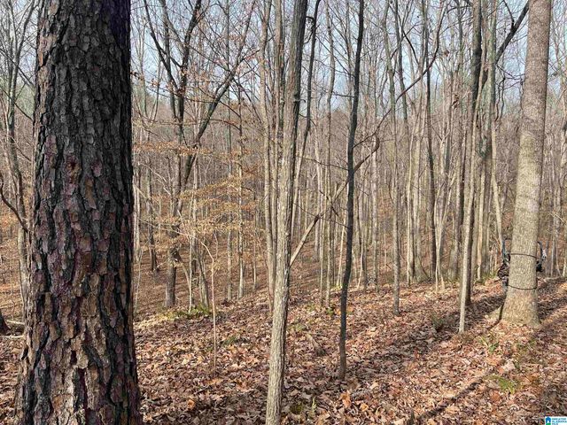 0 COUNTY ROAD 852, Heflin, AL 36264