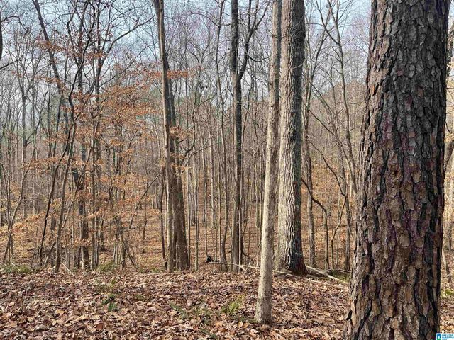 0 COUNTY ROAD 852, Heflin, AL 36264