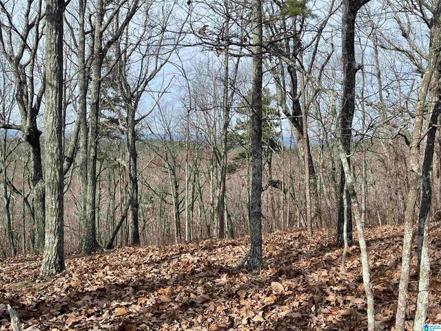 0 COUNTY ROAD 852, Heflin, AL 36264