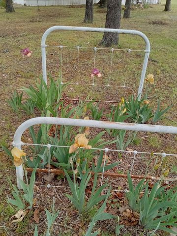 22805 State Highway Cc, Warsaw, MO 65355