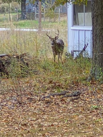 22805 State Highway Cc, Warsaw, MO 65355