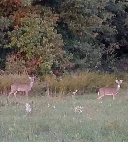 22805 State Highway Cc, Warsaw, MO 65355