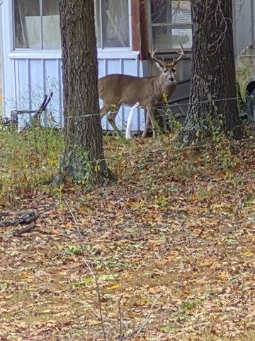 22805 State Highway Cc, Warsaw, MO 65355