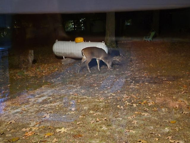 22805 State Highway Cc, Warsaw, MO 65355