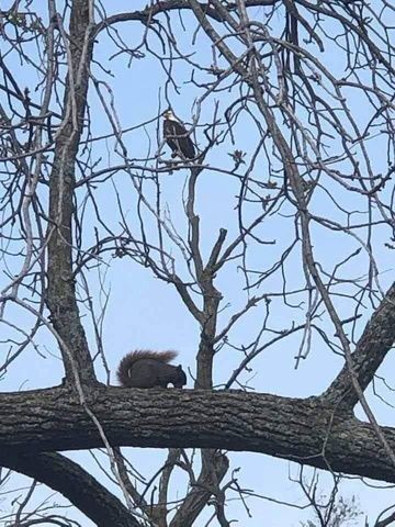 22805 State Highway Cc, Warsaw, MO 65355