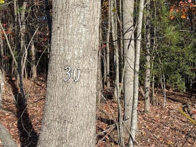 00 Billings Hill Church Road, Traphill, NC 28685