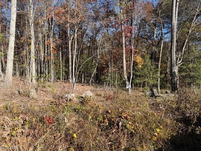 00 Billings Hill Church Road, Traphill, NC 28685