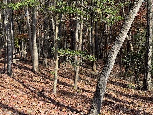 00 Billings Hill Church Road, Traphill, NC 28685