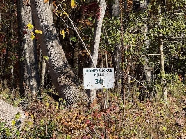 00 Billings Hill Church Road, Traphill, NC 28685