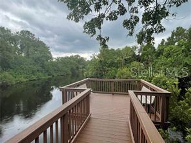 10103 BELLEVILLE PLACE, Tampa, FL 33624