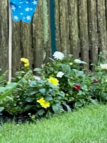 2323 Clyde Terrace, Homewood, IL 60430