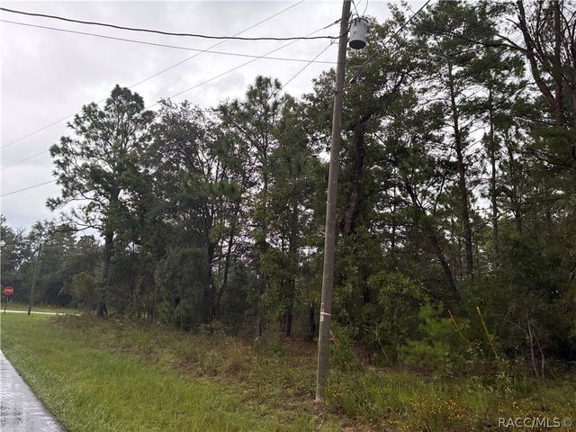 7351 N Waycross Way, Citrus Springs, FL 34433