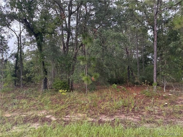 7351 N Waycross Way, Citrus Springs, FL 34433