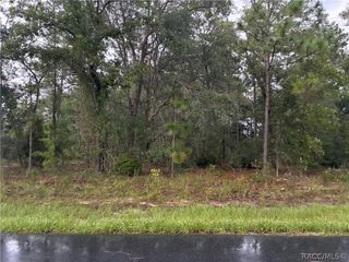 7351 N Waycross Way, Citrus Springs, FL 34433