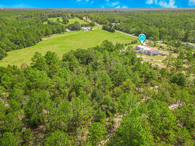 5263 Coy Burgess Loop Loop, Defuniak Springs, FL 32435