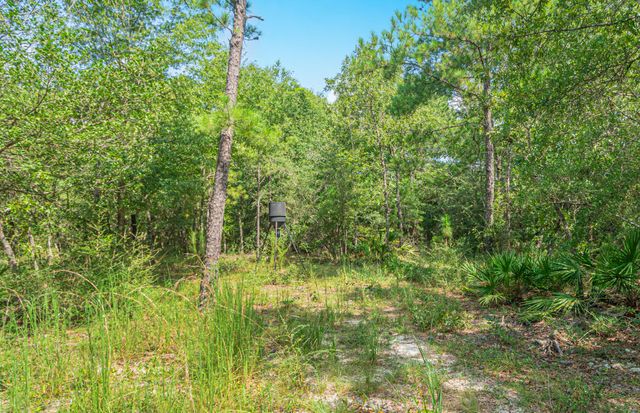 5263 Coy Burgess Loop Loop, Defuniak Springs, FL 32435