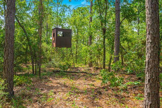 5263 Coy Burgess Loop Loop, Defuniak Springs, FL 32435