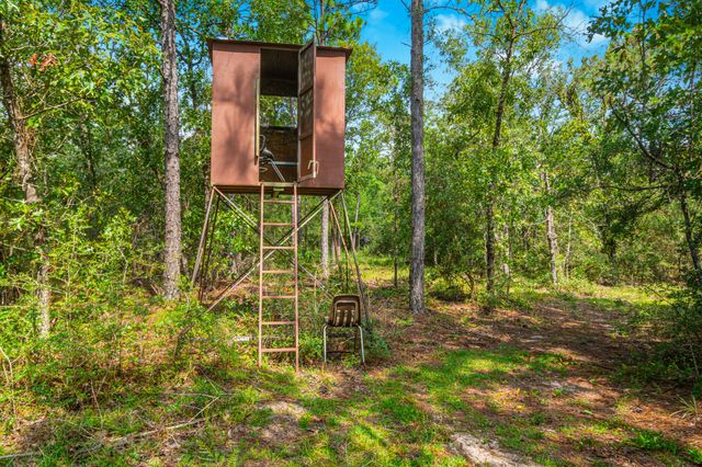 5263 Coy Burgess Loop Loop, Defuniak Springs, FL 32435