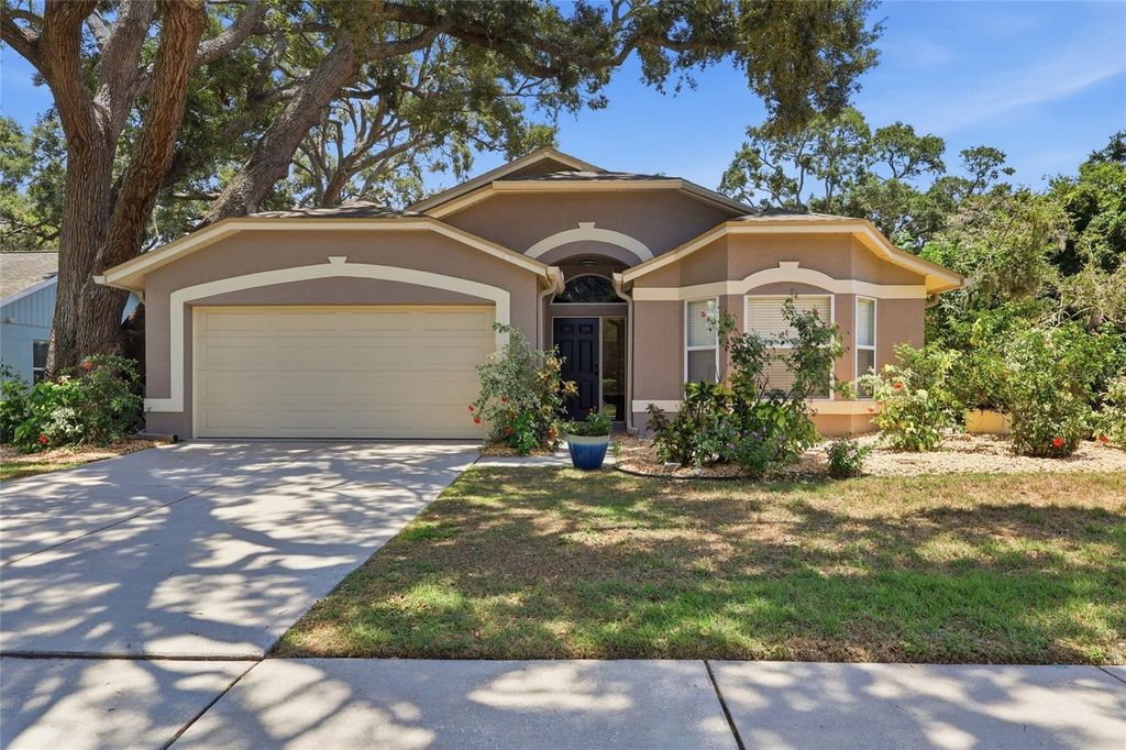 5724 ERHARDT DRIVE, Riverview, FL 33578