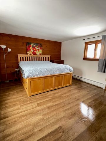 11797 Fish Pond Road, Caton, NY 14871