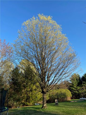 11797 Fish Pond Road, Caton, NY 14871