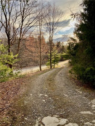 11797 Fish Pond Road, Caton, NY 14871