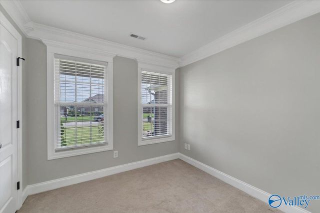 115 Evergreenview Drive, Hazel Green, AL 35750