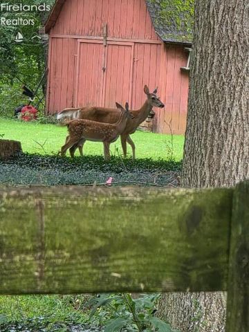 202 Old State Road, Norwalk, OH 44857