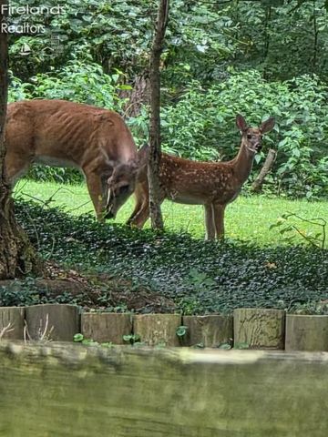 202 Old State Road, Norwalk, OH 44857