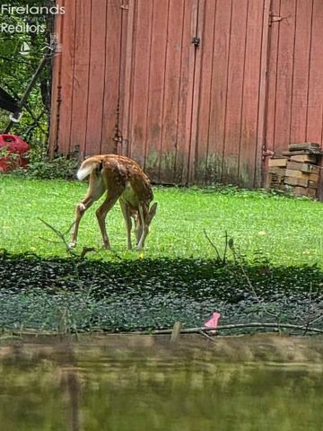 202 Old State Road, Norwalk, OH 44857