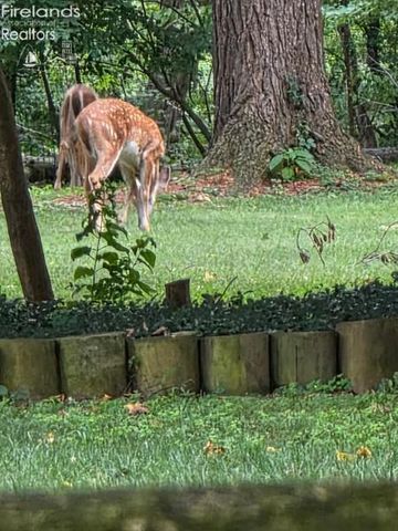 202 Old State Road, Norwalk, OH 44857