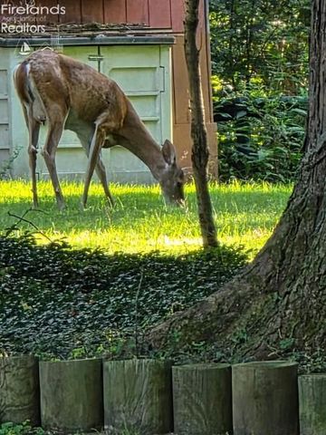 202 Old State Road, Norwalk, OH 44857