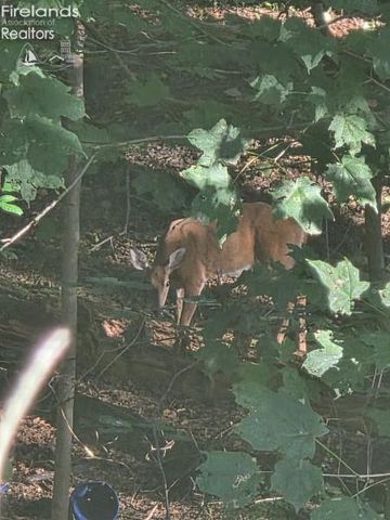 202 Old State Road, Norwalk, OH 44857