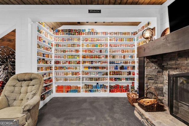 521 Lower Prince Mountain Road, Cherry Log, GA 30522