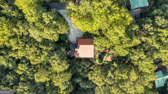 521 Lower Prince Mountain Road, Cherry Log, GA 30522