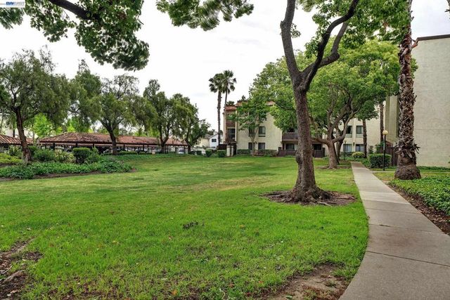 39931 Cedar 201, Newark, CA 94560
