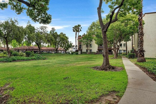 39931 Cedar 201, Newark, CA 94560