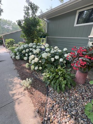 1401 N 4th Street, Montevideo, MN 56265