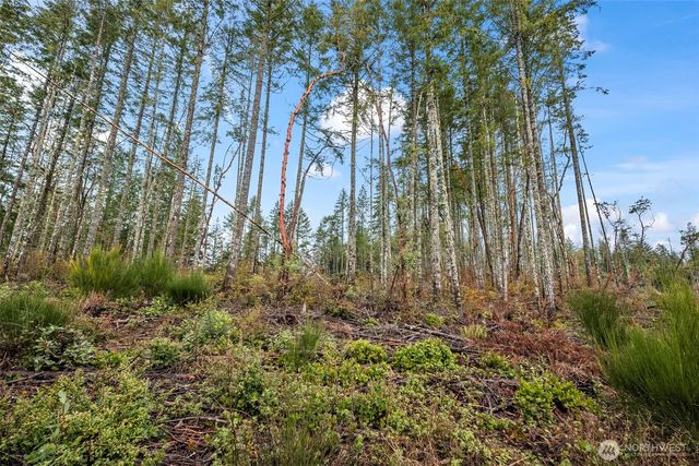 1809 208th Avenue SW, Lakebay, WA 98349