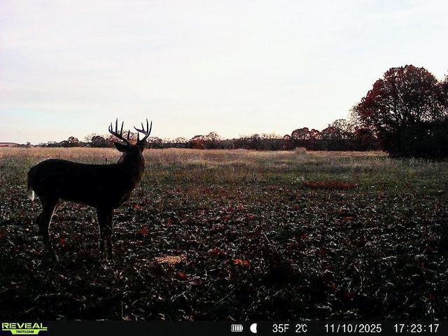 374 N 750 Road, Overbrook, KS 66524