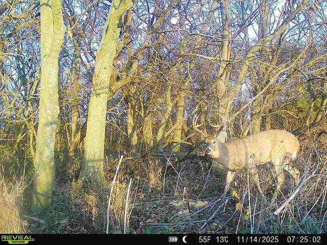 374 N 750 Road, Overbrook, KS 66524