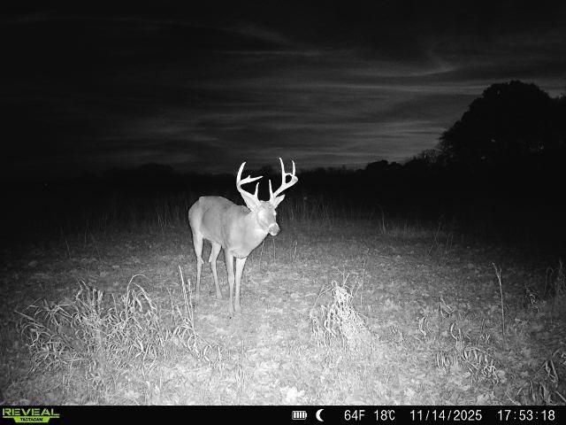 374 N 750 Road, Overbrook, KS 66524