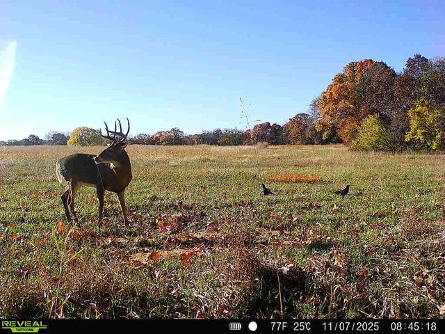 374 N 750 Road, Overbrook, KS 66524