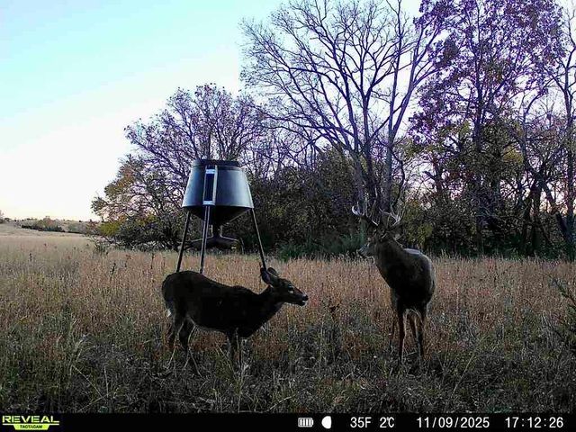 374 N 750 Road, Overbrook, KS 66524