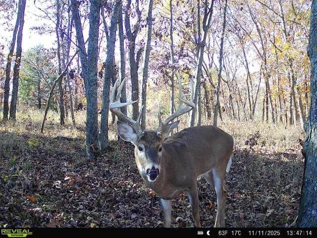 374 N 750 Road, Overbrook, KS 66524