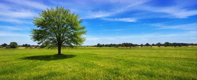 2619 Freedom Court, Tolar, TX 76476