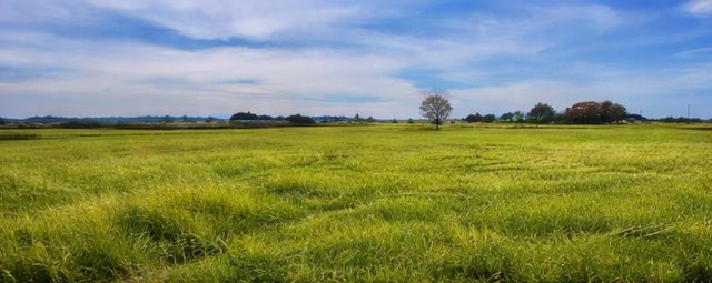 2619 Freedom Court, Tolar, TX 76476