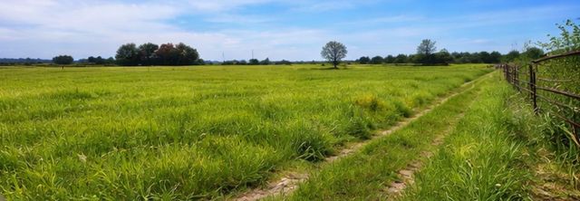 2619 Freedom Court, Tolar, TX 76476