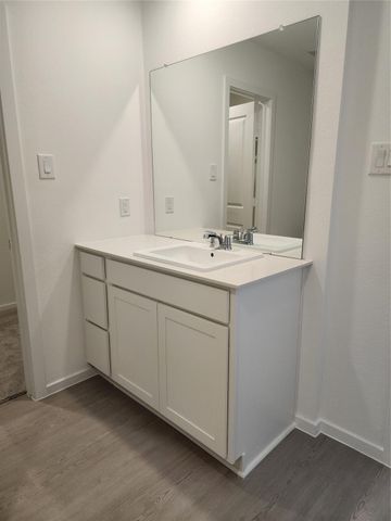 21626 Willow River Canyon Lane, Waller, TX 77484